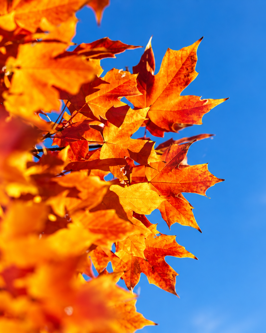 Pourquoi exfolier sa peau avant l’automne ?