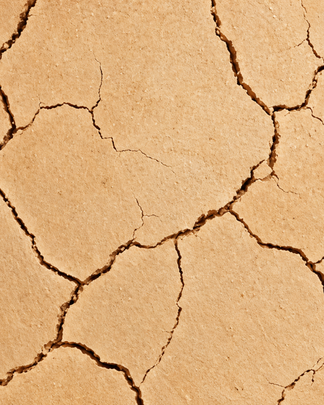 Peau sèche après l’été : comment retrouver une peau douce et confortable ?